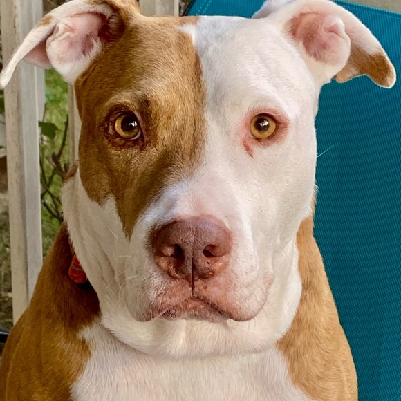 Meet your Posher, CathyBunny - Picture 5 of 16